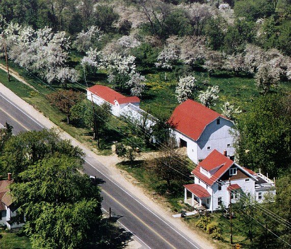 Weston’s Antique Apple Orchard, Wisconsin