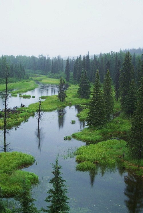 Take a Refreshing Dip at Denali National Park and Preserve, AK