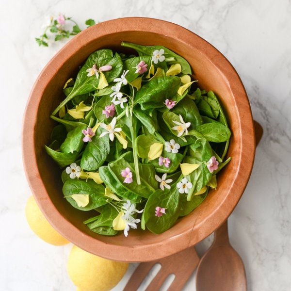 Spinach is a Leafy Green You Need