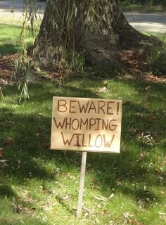 soil,trail,signage,BEWARE,WHOMPTNE,