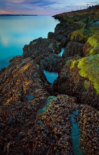 Holywood Rocks, Knocknagoney