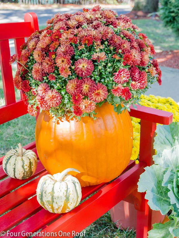 Fabulous Home Decor Hacks for Fall ...