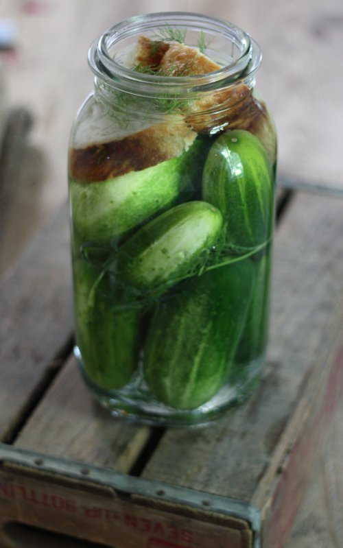 food preservation, pickling, green, food, produce,