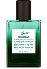 Kiehl's Forest Rain