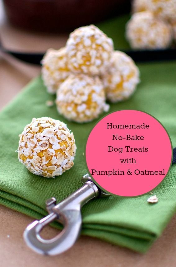 Homemade No-Bake Dog Treats