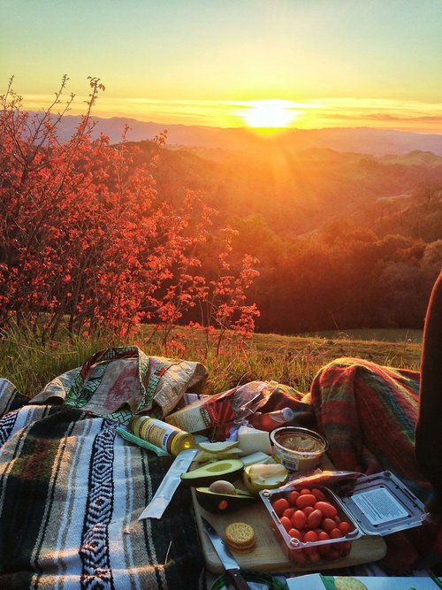 Set up a Picnic