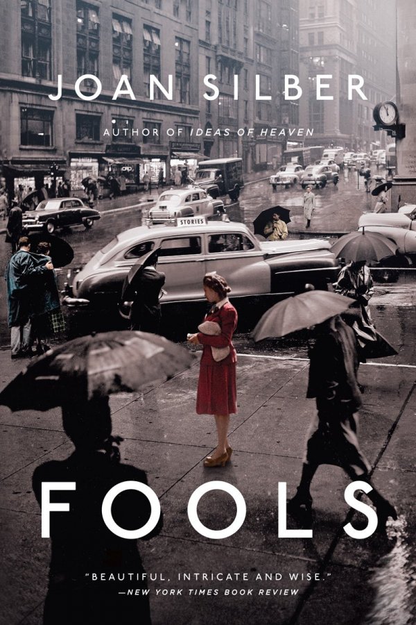 Fools by Joan Silber