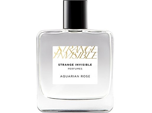 Strange Invisible Perfumes