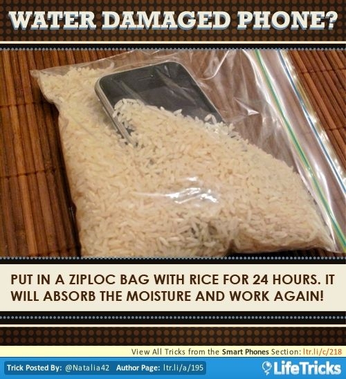 Recover a Waterlogged Phone