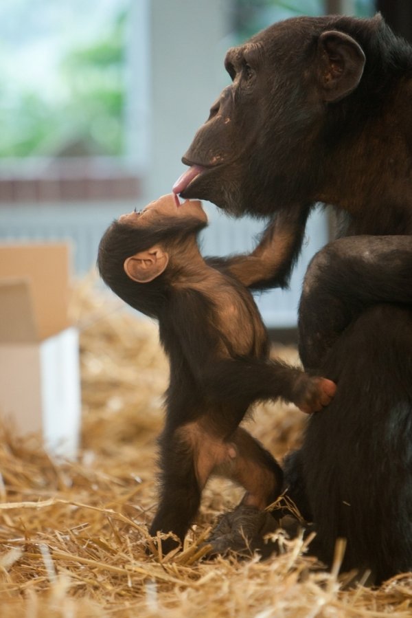 Hey, No Tongues, the Vicar's Watching