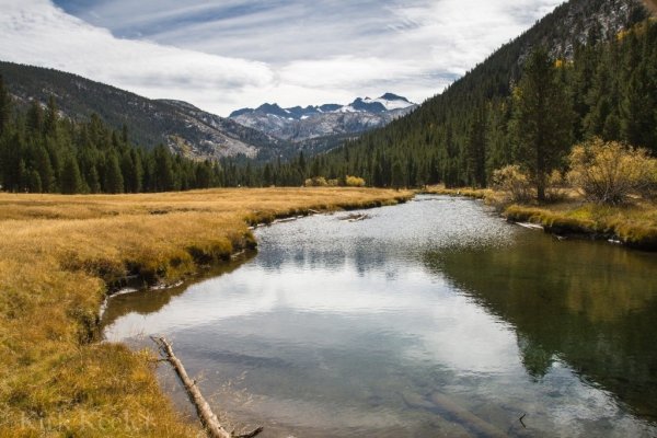 The Ansel Adams Gallery