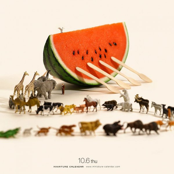 food, produce, illustration,