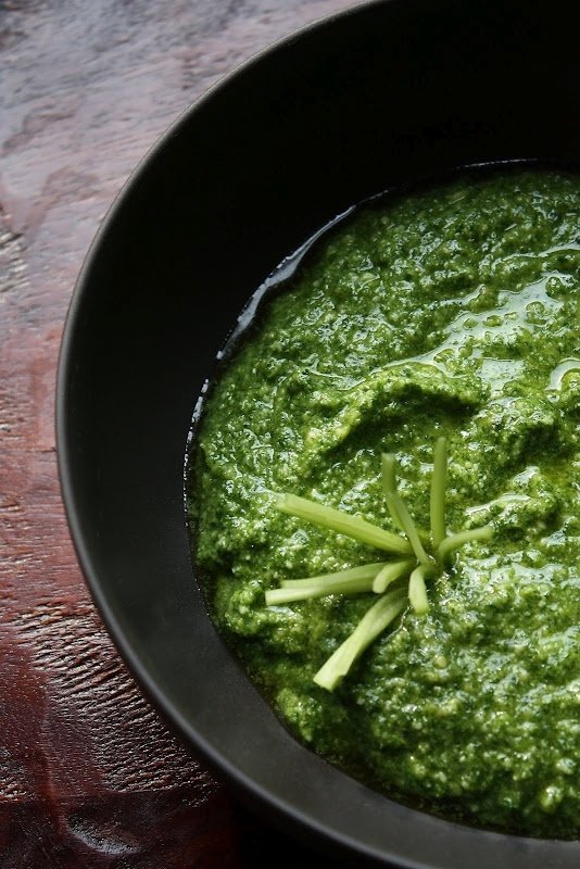 Sellerie Pesto