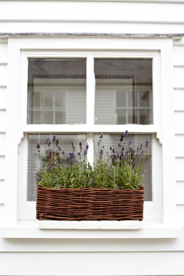 balcony,window,interior design,facade,home,