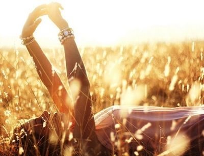 grass family,food,sunlight,crop,drink,