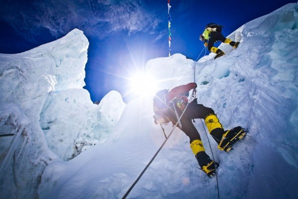 You Can’t Escape Spiders, Even 22,000 Feet above Sea Level