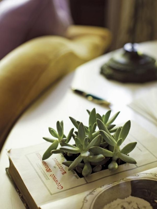 Book Planter