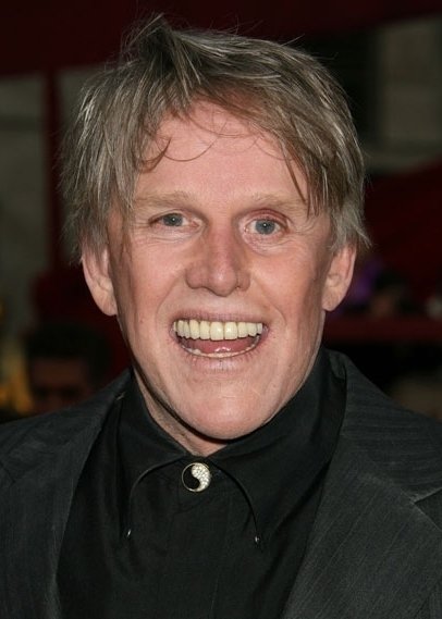 Gary Busey