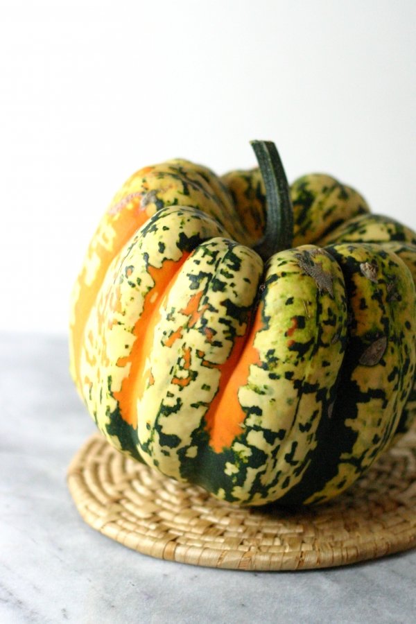 Carnival Squash