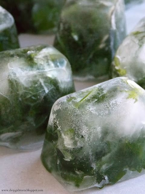 Freeze Fresh Herbs in Ice Cubes