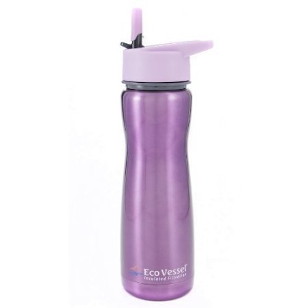 Eco Vessel Insulated Filtration Water Bottle