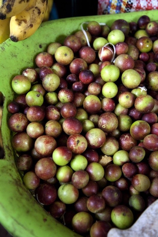 Camu Camu Berries