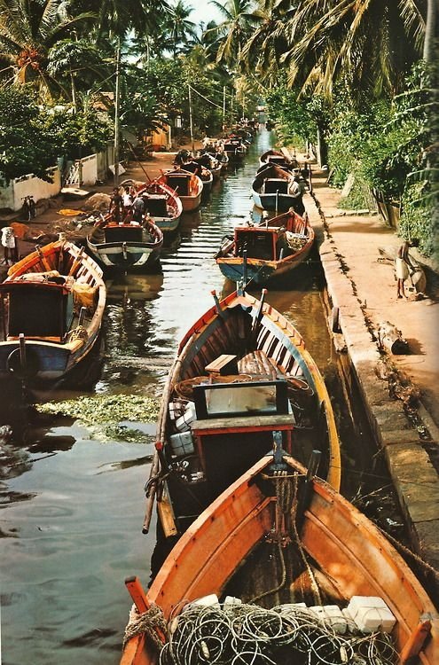 Backwater Taxis, Kerala