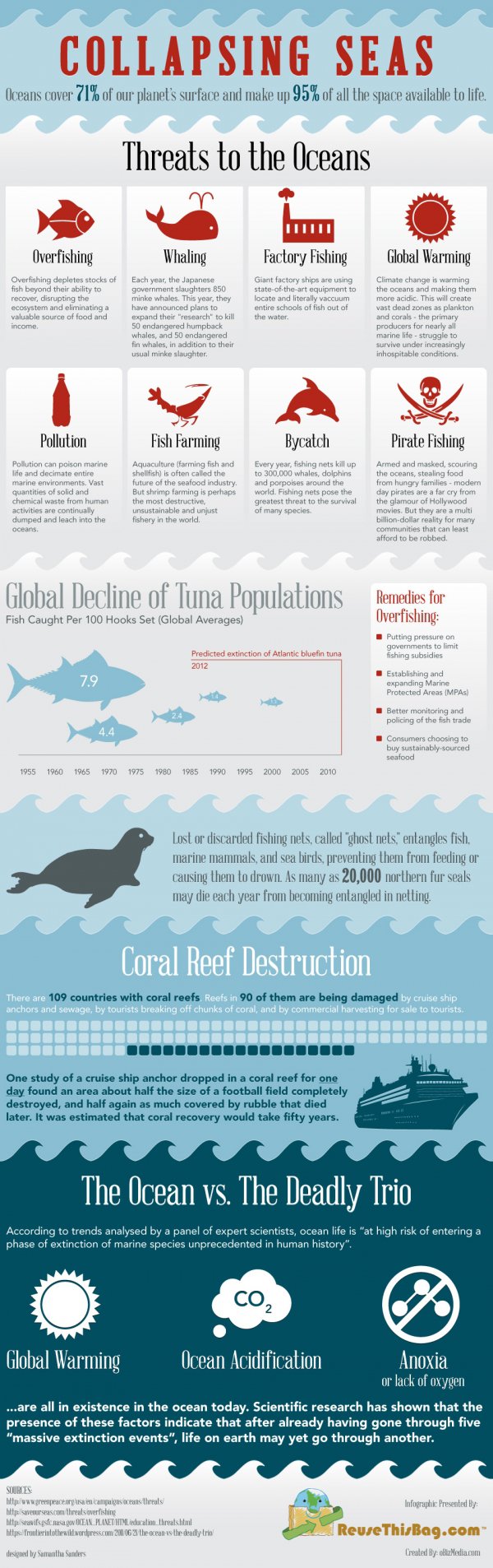 Why Our Seas Are Collapsing