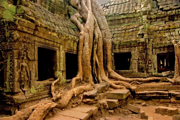 Ta Phrom, Cambodia, for Tomb Raider Fans