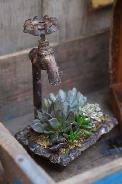 art,wood,water feature,flower,houseplant,