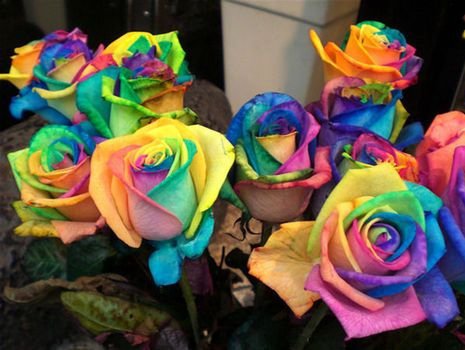 Want to Know How to Make Rainbow Roses?