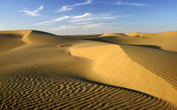 Lose Yourself in the Thar Desert