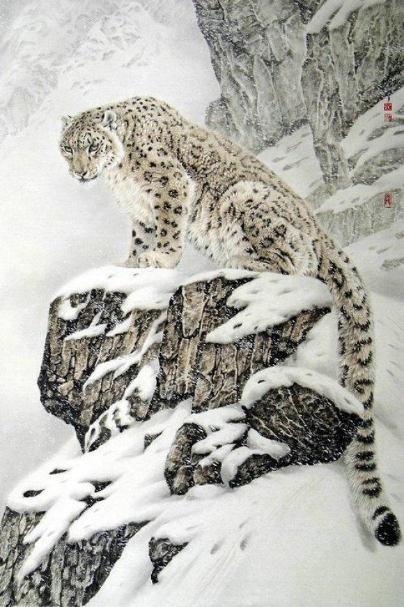 Snow Leopard