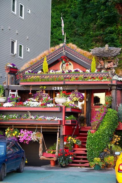 Alki Beach Houses