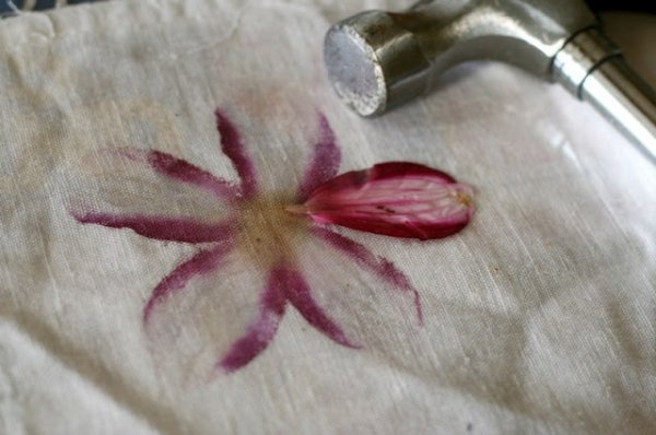 You'll Be Amazed How You Can Transfer the Natural Dyes from Fresh Flowers and Leaves to Fabric