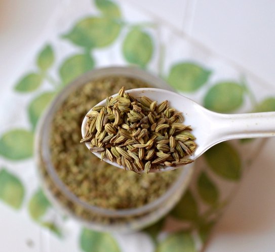 plant, land plant, herb, produce, food,