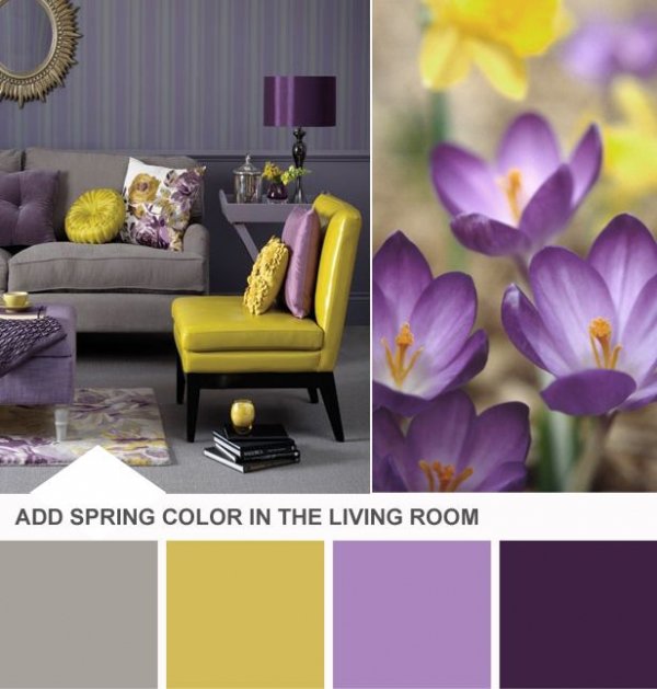 color,purple,yellow,violet,room,