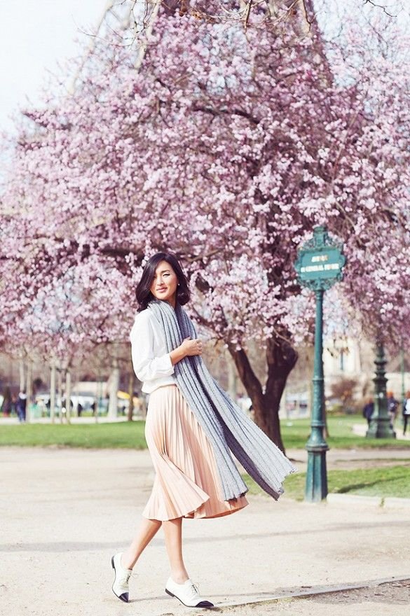 flower,plant,cherry blossom,pink,spring,