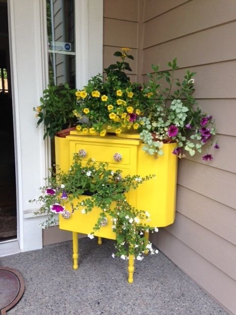 Cabinet Growing