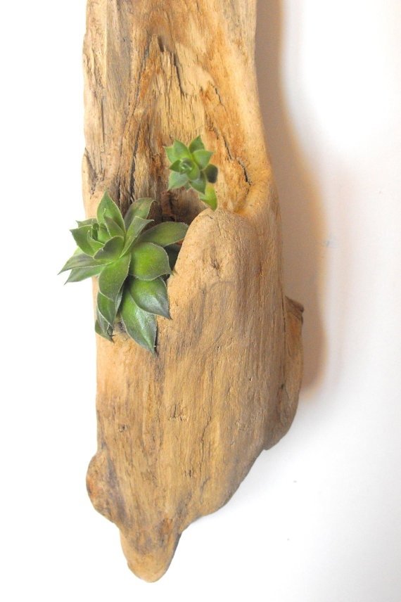 Hanging Driftwood Planter