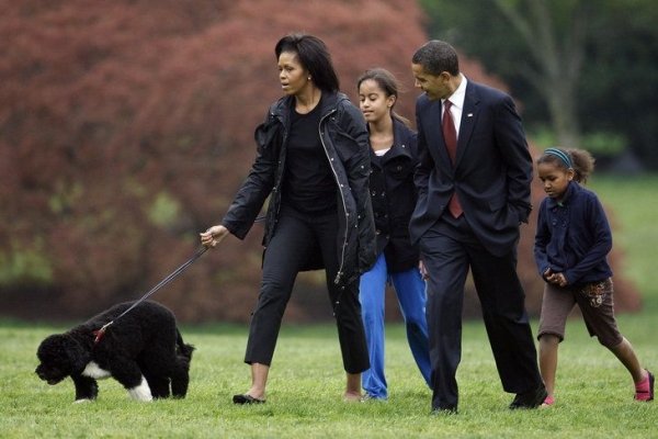 Bo: the Obamas