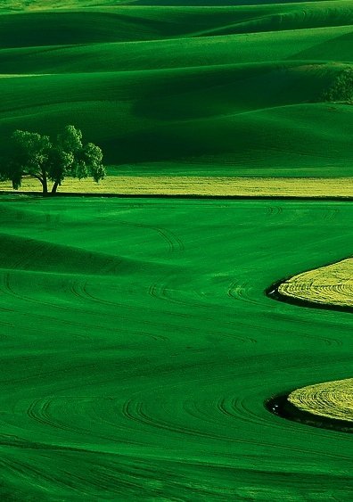 The Beautiful Palouse of Southeastern Washington