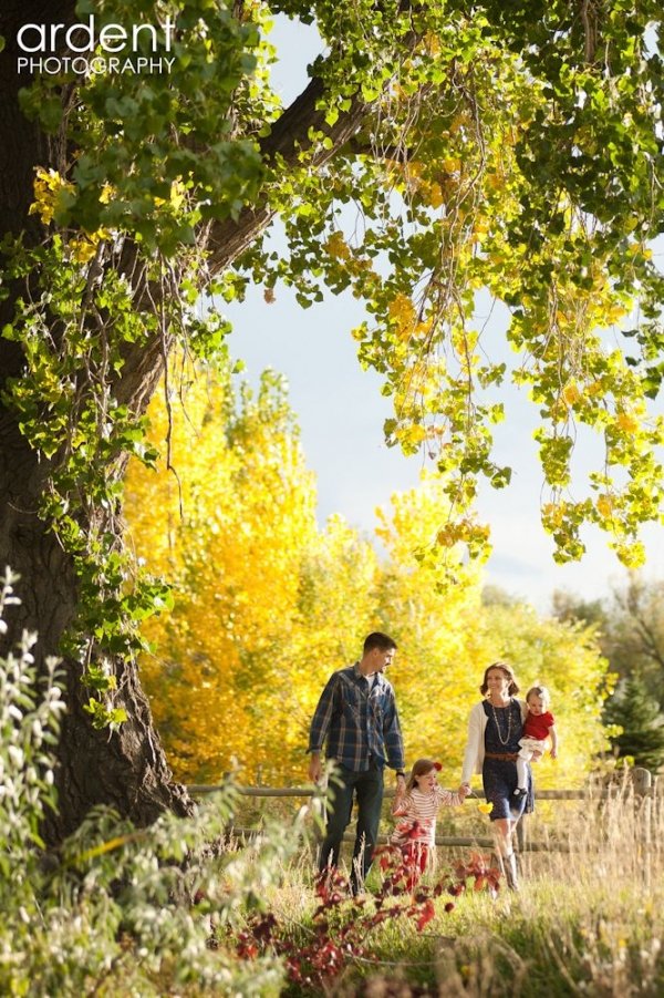 tree,ecosystem,season,autumn,woodland,