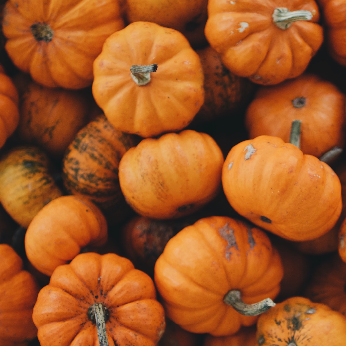 10 Cool Uses for a Pumpkin This Fall ...