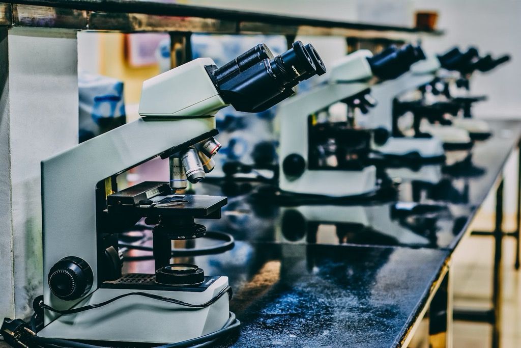 The Research Horizons of the Tripeptide Pinealon - A Scientific Perspective