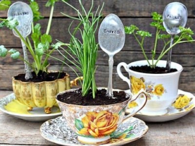 7 Garden Vegetables You Can Grow Indoors Right Now ...