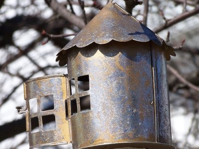 5 Tips On Making Your Own Bird Feeder