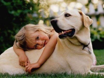 9 Tips for Introducing Your Pet and Your Child ...