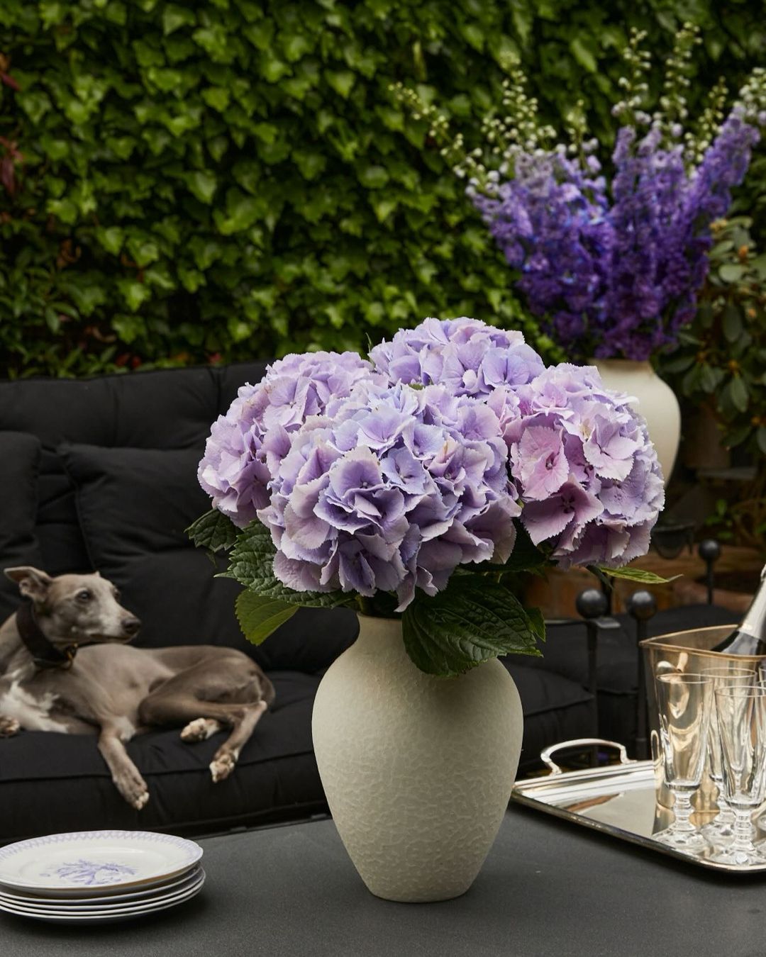 Petals of Wellness - Discover The Healing Power of Flowers ...