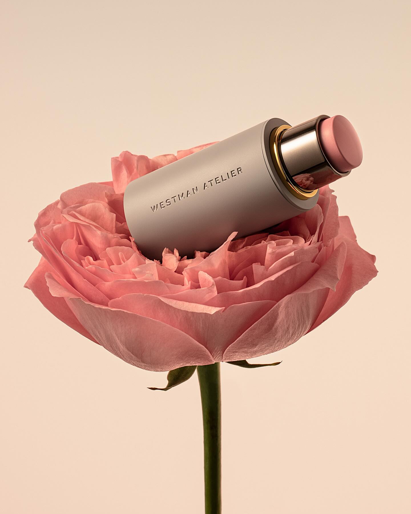 7 Tips of Blush Application for Girls Who Want Sexy Cheeks ...